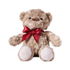 Canada Day Teddy, canada day gift, canada day, plush bear gift, plush bear, teddy bear gift, teddy bear