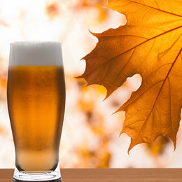 Domestic Beer of the Month Club Options Canada